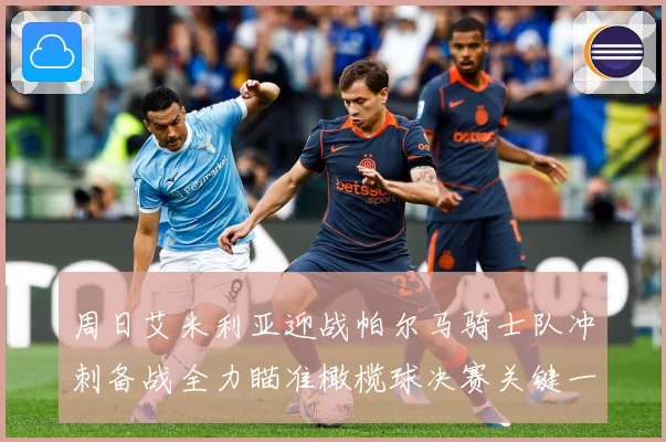 周日艾米利亚迎战帕尔马骑士队冲刺备战全力瞄准橄榄球决赛关键一成长观察：最新赛事动态与深度分析
