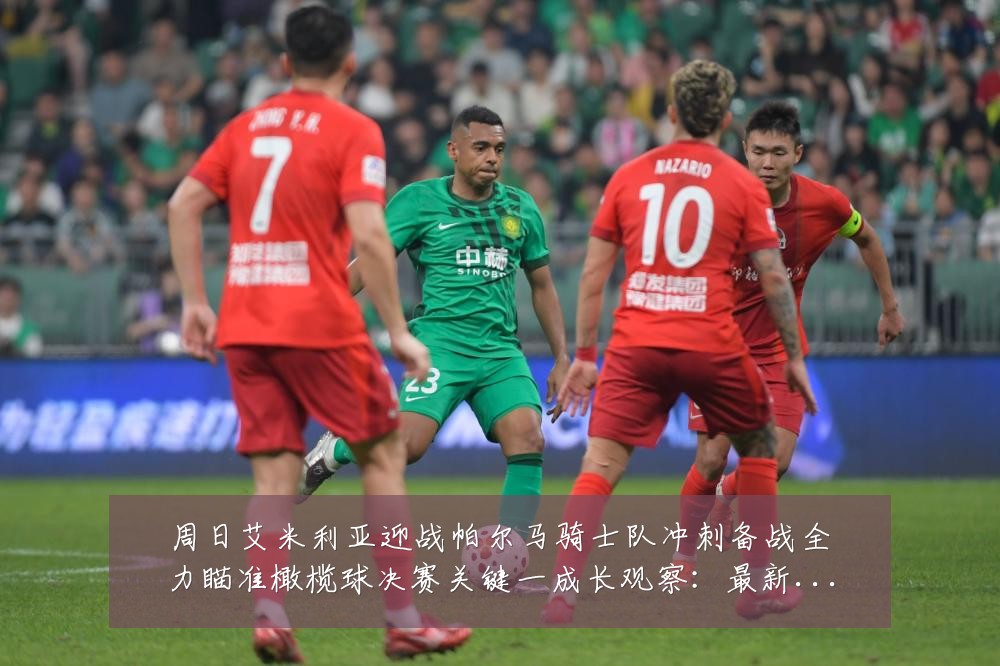 周日艾米利亚迎战帕尔马骑士队冲刺备战全力瞄准橄榄球决赛关键一成长观察：最新赛事动态与深度分析